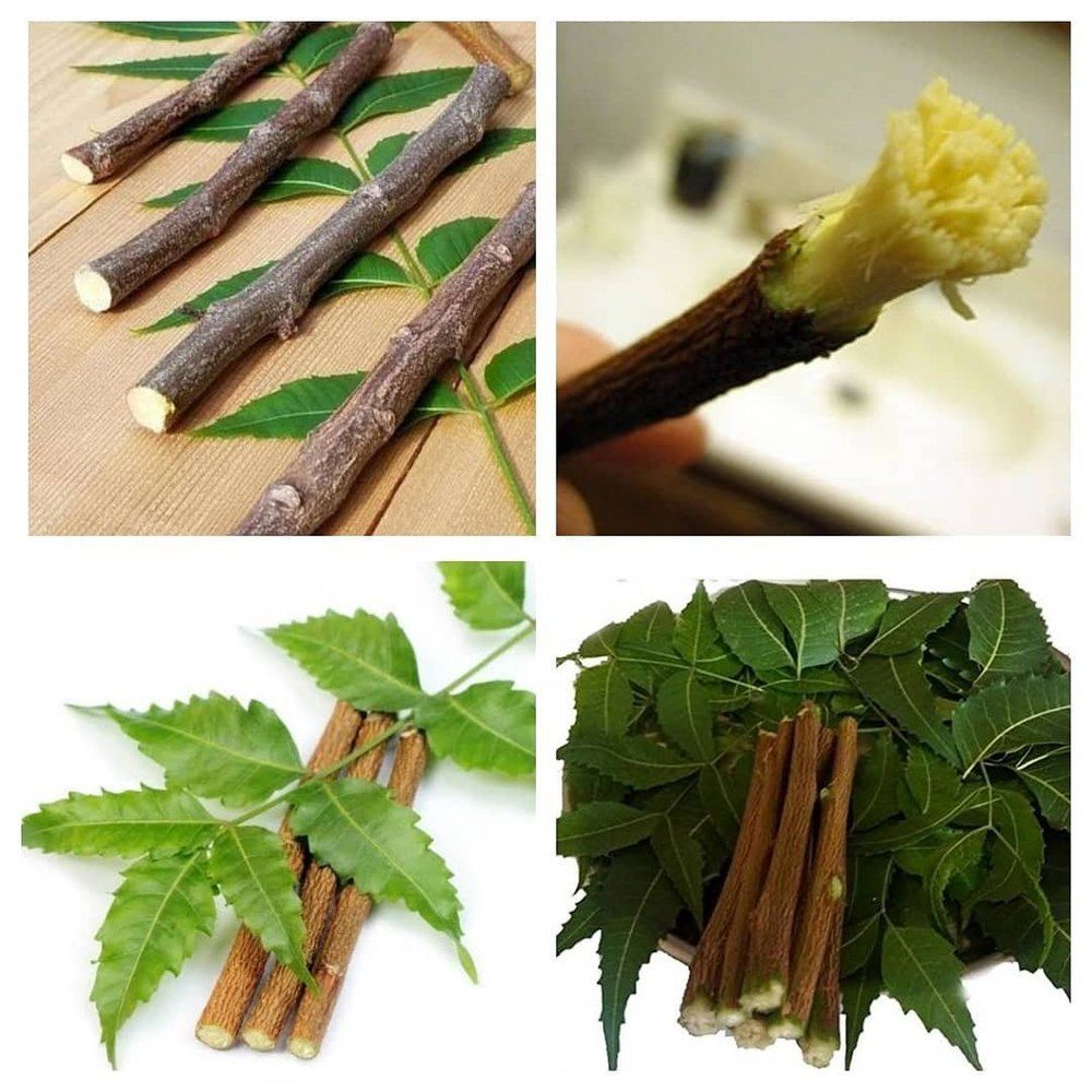 Datun Sticks Jaykottu